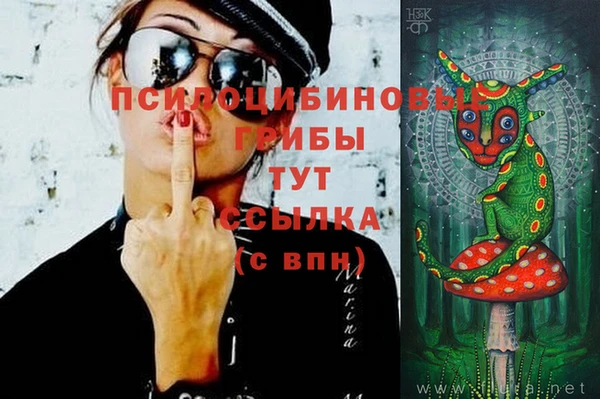 мет Горно-Алтайск