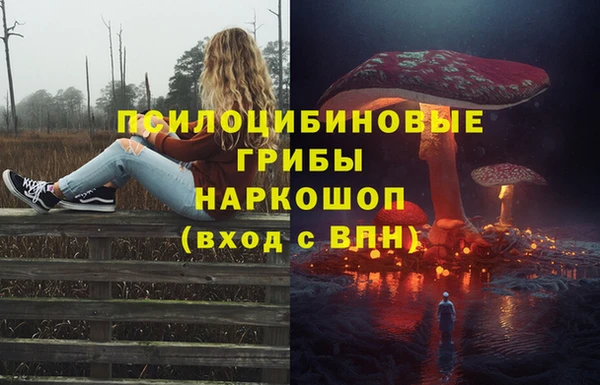 мет Горно-Алтайск