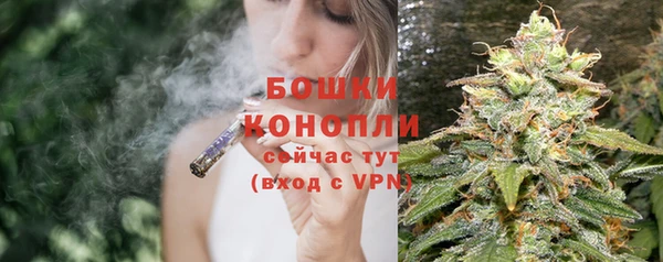 ГАЛЛЮЦИНОГЕННЫЕ ГРИБЫ Гусиноозёрск