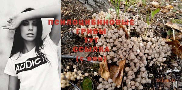 мет Горно-Алтайск