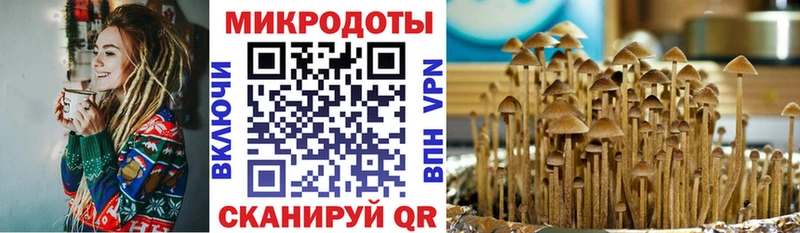 Псилоцибиновые грибы MAGIC MUSHROOMS Армавир